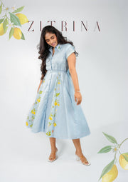 ZITRINA Dress