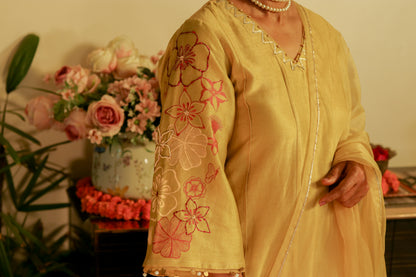 MEERA Set